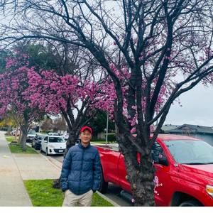 Meet your Posher, Nam binh